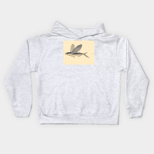 Flying Fish by Mary Symonds Kids Hoodie by Amanda1775